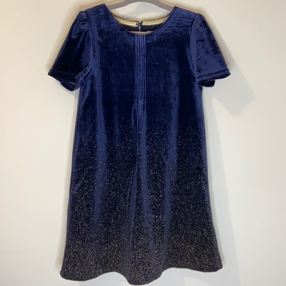 Velvet Navy Blue w/ Gold Dust Holiday Party Dress. Size 3-4 Years